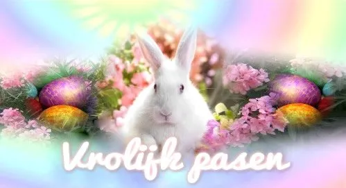 ᐅ gratis afbeeldingen voor whatsapp - Dinsdag plaatjes