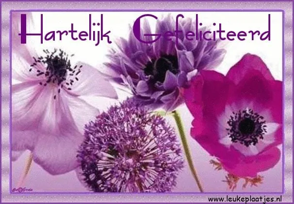 Achtergrond met paarse bloemen en de tekst "Hartelijk Gefeliciteerd".