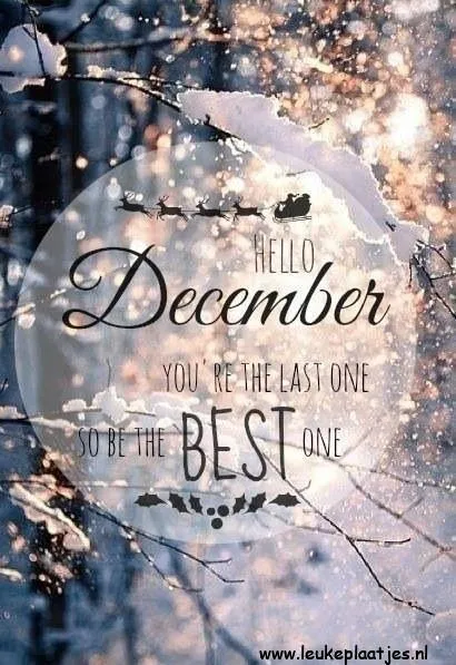 hallo december