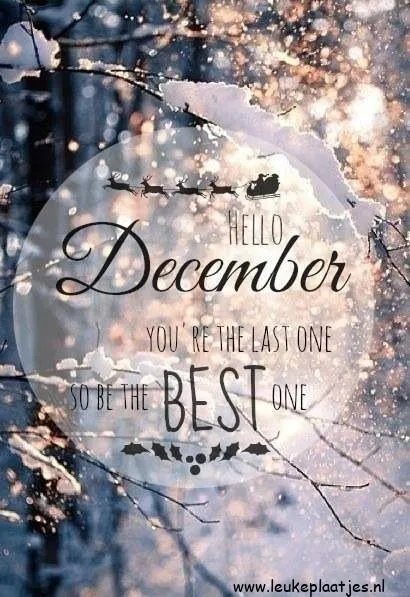 Winterse achtergrond met tekst "Hallo December, je bent de laatste, wees de beste."