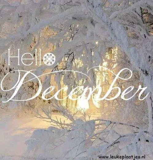 Sneeuwlandschap met de tekst "Hello December" in een sierlijk lettertype.