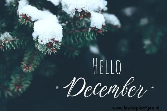 Takken met sneeuw en de tekst "Hallo December".