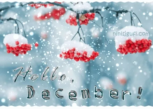 Sneeuwbedekte bessen en de tekst "Hallo, december!" in een winterse achtergrond.