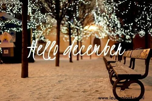 Sneeuwbedekt park met verlichte bomen en de tekst "Hello December".