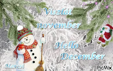 Sneeuwman met een bezem en teksten over november en december. Groen takkenmotief.