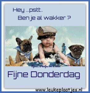 hallo donderdag