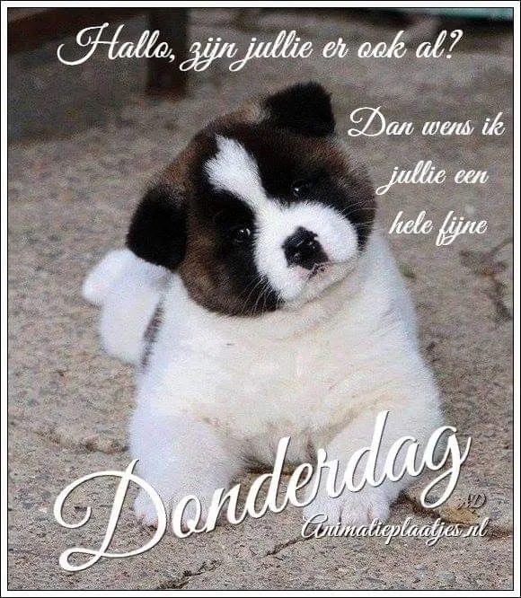 ᐅ hallo donderdag - Donderdag plaatjes
