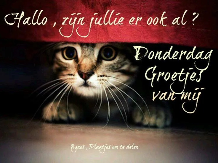 ᐅ hallo donderdag - Donderdag plaatjes