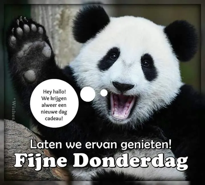 ᐅ hallo donderdag - Donderdag plaatjes
