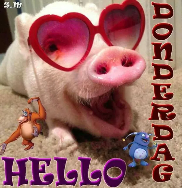 ᐅ hallo donderdag - Donderdag plaatjes