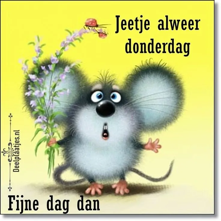 ᐅ hallo donderdag - Donderdag plaatjes