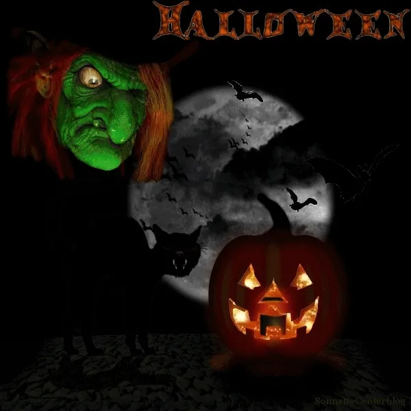 Halloween-illustratie met een groene heks, kat, pompoen en maan.