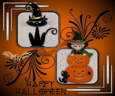 ᐅ halloween gif plaatjes - Halloween plaatjes Zwarte kat en heks op pompoenen, met Halloween tekst op een oranje achtergrond.