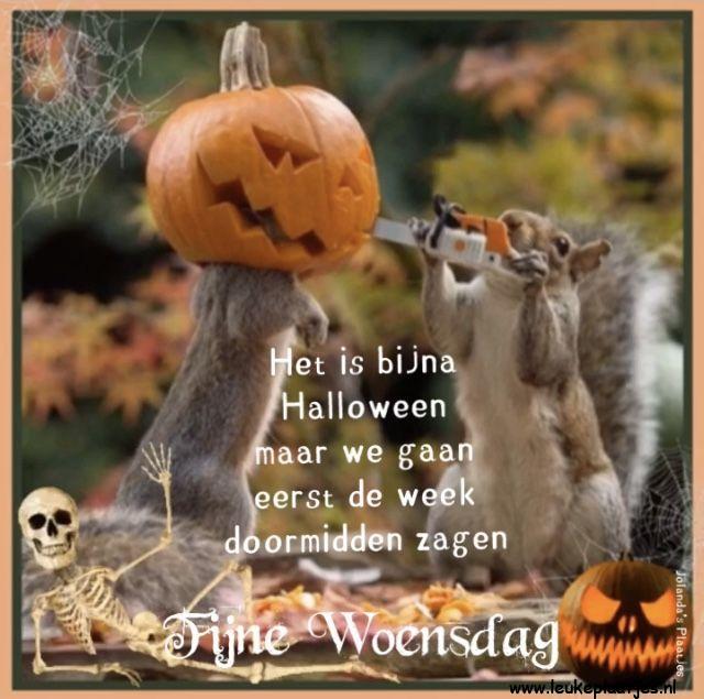 ᐅ halloween grappig - halloween grappig plaatjes