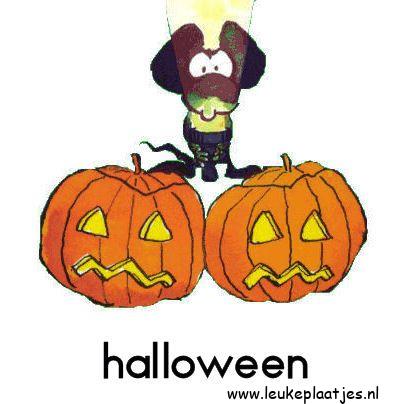 ᐅ halloween grappig - Halloween plaatjes