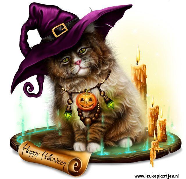 ᐅ halloween katten plaatjes - Halloween plaatjes