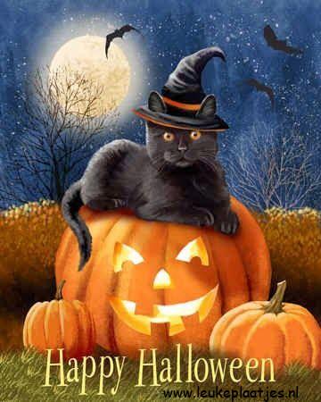ᐅ halloween katten plaatjes - Halloween plaatjes