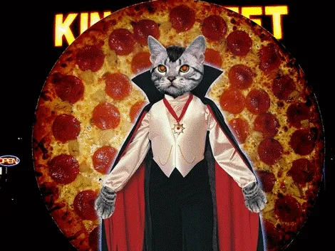 Kat met een cape en een pizza als achtergrond, kijkend naar de camera.