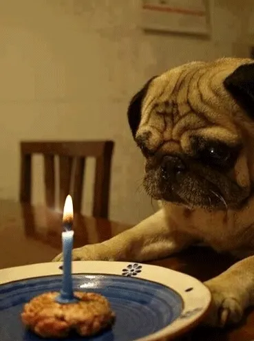 ᐅ happy birthday verjaardag man gif - Verjaardag plaatjes