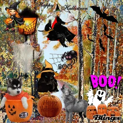 Halloween scène met katten, heksen, pompoenen en vleermuizen in een herfstlandschap.