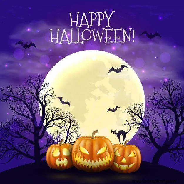 Drie pompoenen en een kat met een volle maan en vleermuizen op een paarse achtergrond.