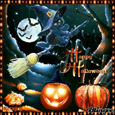 Zwart kat met een hoed vliegt op een bezem, Halloween decoraties omringend.