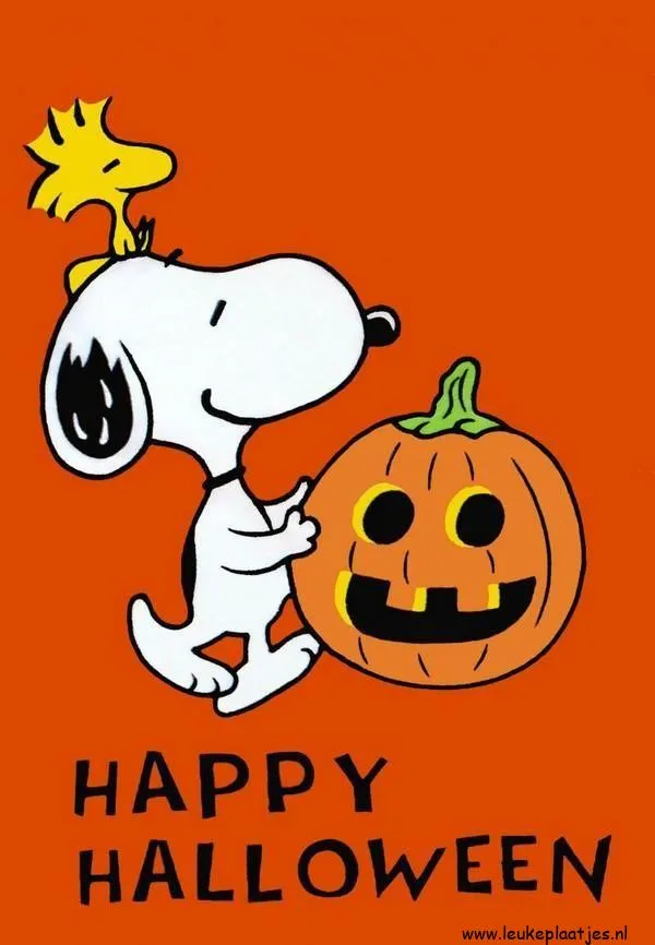 Snoopy met een pompoen op een oranje achtergrond, met de tekst "Happy Halloween".