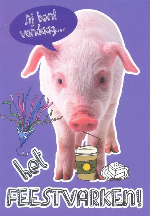 ᐅ hartelijk gefeliciteerd man - Verjaardag plaatjes Een schattig varken met feestversieringen en lekkernijen op een paarse achtergrond.