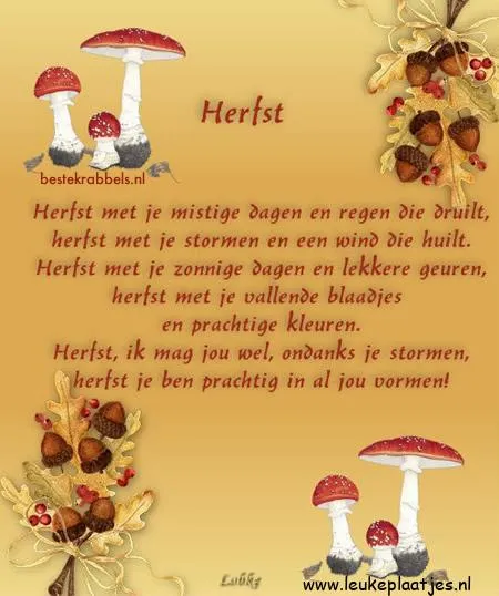 Herfst met paddenstoelen en herfstbladeren in warme kleuren. Tekst over de seizoenen.