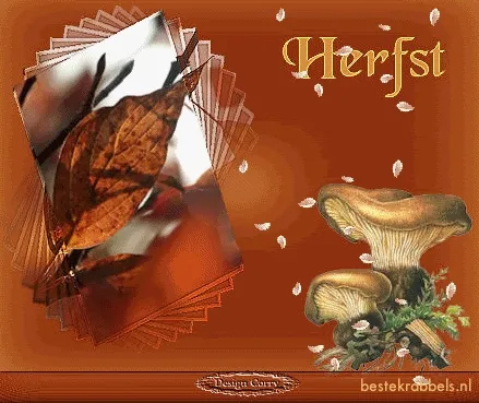 Autumn thema met paddenstoelen en een vallend blad op een warme achtergrond.