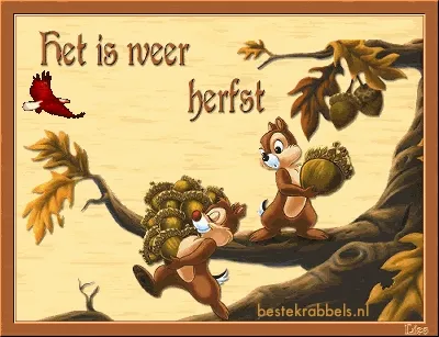 Twee eekhoorns dragen eikels terwijl een vogel voorbijvliegt met de tekst over de herfst.