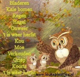 Een uil met twee jongen op een tak, omringd door herfstbladeren en tekst.