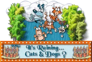 Vijf cartoonachtige dieren onder een wolk met regen, met de tekst "Het regent... katten en honden".