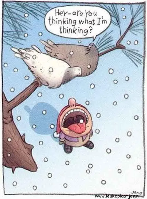 ᐅ humor winter plaatjes - Winter plaatjes Een kind kijkt naar een vogel op een tak terwijl het sneeuwt.