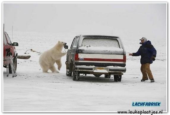 ᐅ humor winter plaatjes - Winter plaatjes ᐅ humor winter plaatjes - Winter plaatjes