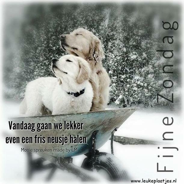 ᐅ humor winter plaatjes - Winter plaatjes ᐅ humor winter plaatjes - Winter plaatjes