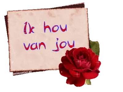 Een rode roos met de tekst "Ik hou van jou" op een beige achtergrond.