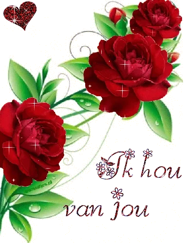 Rode rozen met de tekst "Ik hou van jou" op een glinsterende achtergrond.