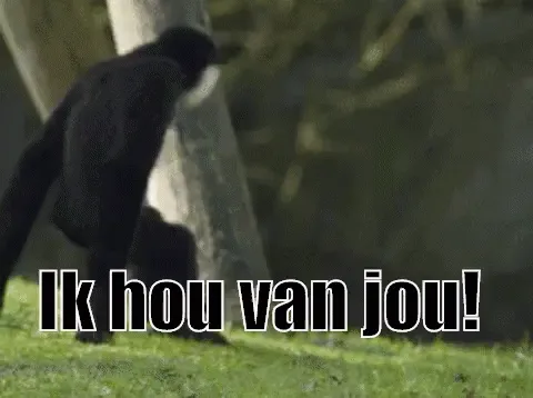 Een zwarte aap speelt op een groen grasveld.