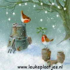 Twee roodborstjes op potten met sneeuw en een takje in de achtergrond.