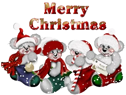 Vier schattige beren in kerstkleuren met een "Merry Christmas" tekst.