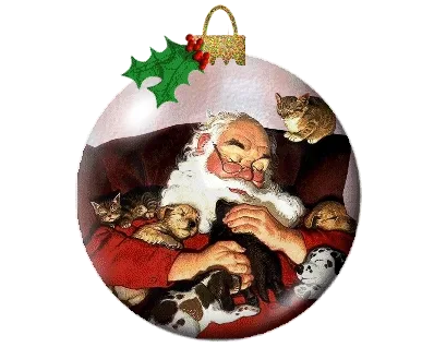 Kerstbal met een lachende kerstman en schattige kittens op schoot.