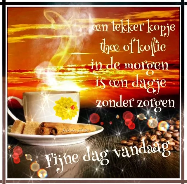 Een kopje thee of koffie met een zonsondergang en tekst over een zorgeloze dag.