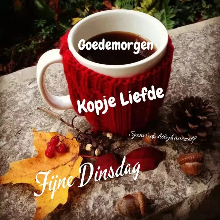 Kopje koffie in een gebreide mok, omringd door herfstbladeren en dennenappels.