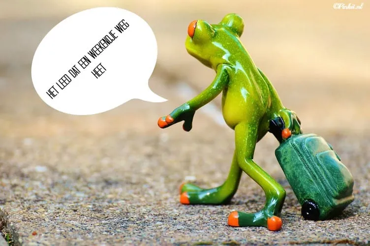 Kikker met een koffer, lijkt op weg naar een avontuur.