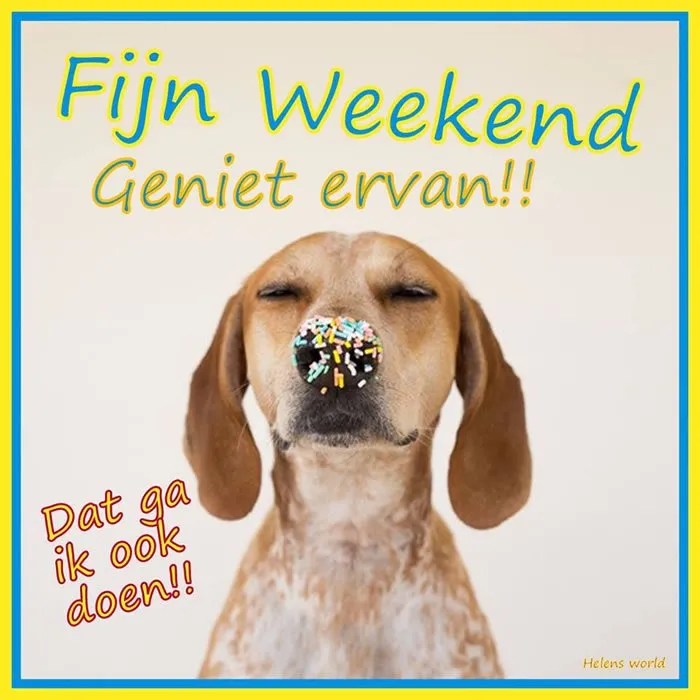 Een hond met een chocoladebol op zijn neus, met vrolijke tekst.