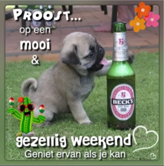 Een schattige puppy proost met een biertje op een gezellig weekend.
