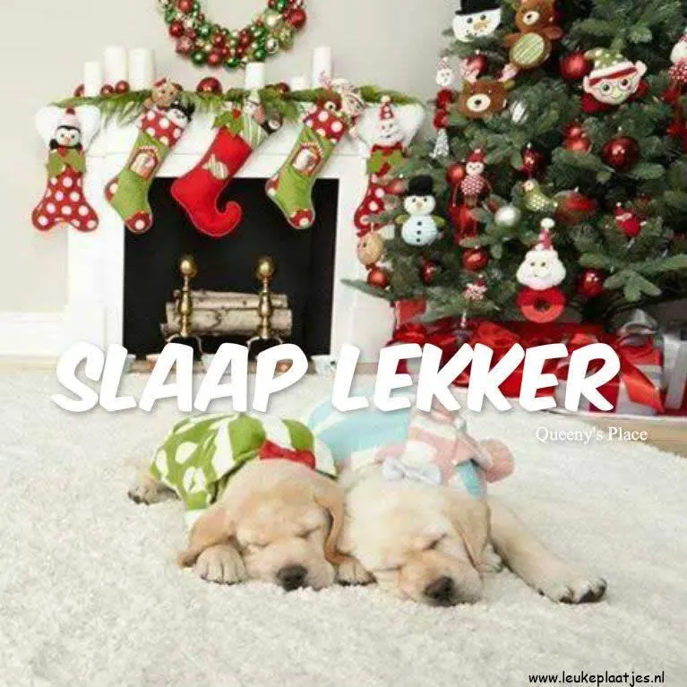 Twee slapende puppy's voor een feestelijke kerstboom en open haard.