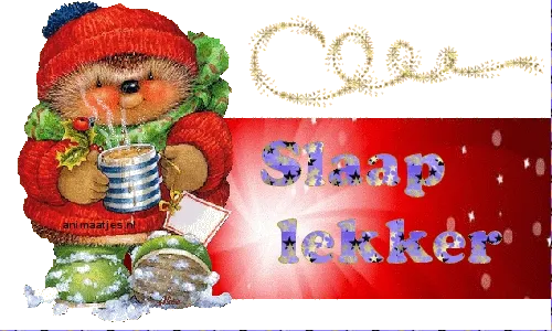 Een schattige egel in winterkleding met een warme drank, met de tekst "Slaap lekker".