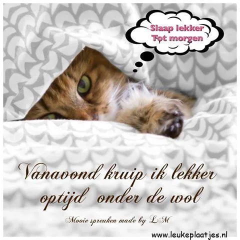 Een schattige kat verscholen onder een deken met een slaapwens.